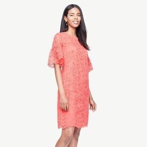Ann Taylor Lace Dress Orange 4